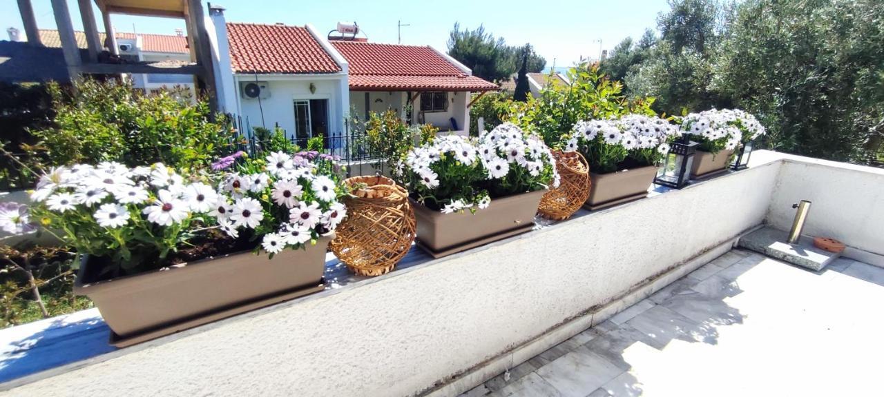 Villa Βianca In Sithonia Геракини Екстериор снимка